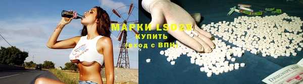 индика Ельня