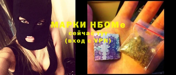 индика Ельня