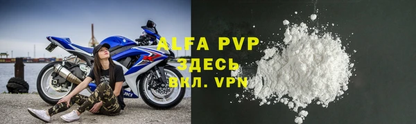 индика Ельня