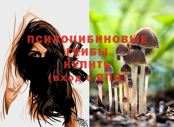 крисы Елабуга