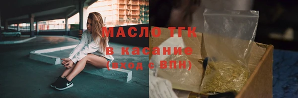 крисы Елабуга