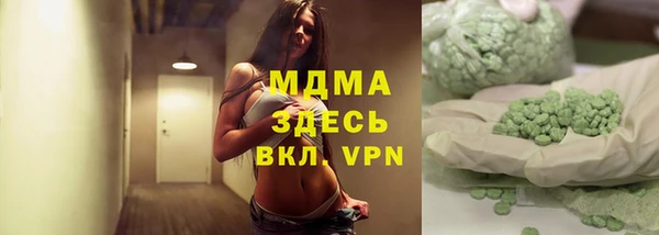 индика Ельня