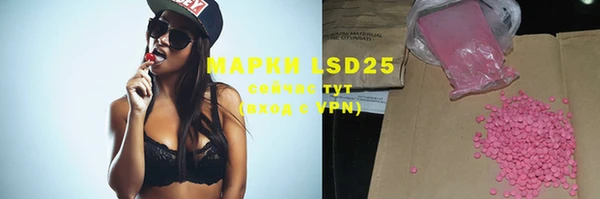ГАЛЛЮЦИНОГЕННЫЕ ГРИБЫ Елизово