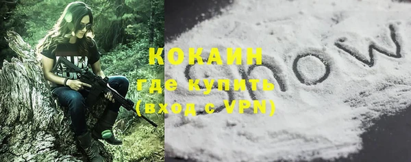 индика Ельня