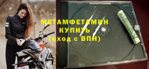 индика Ельня