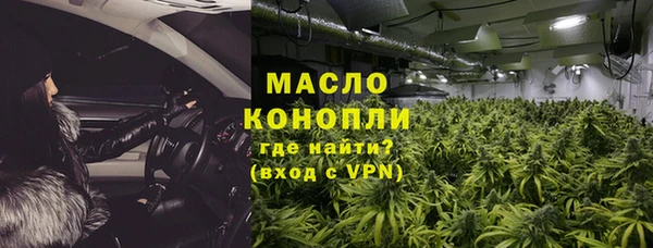 индика Ельня