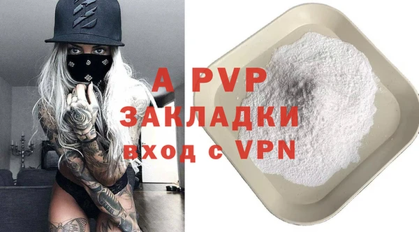 крисы Елабуга