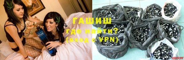 индика Ельня