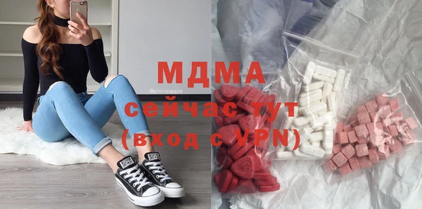 индика Ельня