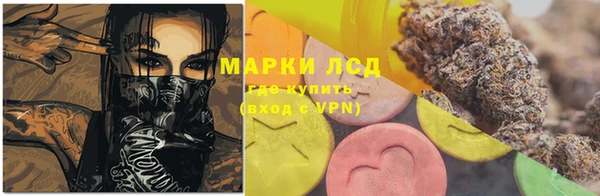 индика Ельня