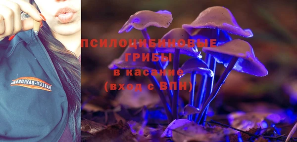 ГАЛЛЮЦИНОГЕННЫЕ ГРИБЫ Елизово