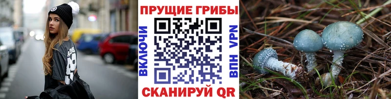 Галлюциногенные грибы Magic Shrooms KRAKEN как зайти Зея